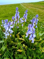 Come chat hiking with me!