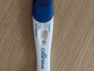 Evap/faulty tests?