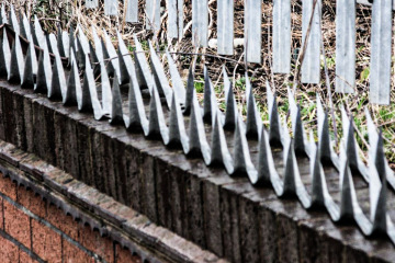 Do anti-cat spikes work?