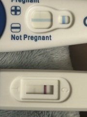 Positive pregnancy test or evaporation line?