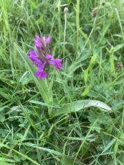 Come chat hiking with me!