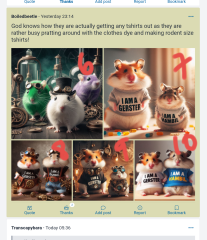 Aston University + gerbil merch thread