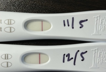 Line progression? Anxious after miscarriage