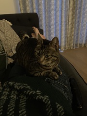 Our rescue boy…