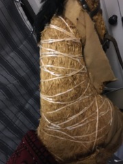 Rocking horse advice