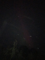 Anyone staying up to try and glimpse the Aurora Borealis?