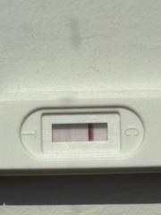 3dpo