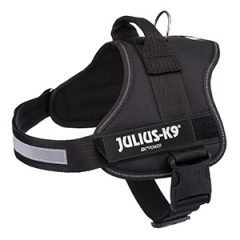 Dog mesh guard advice and travelling with puppy