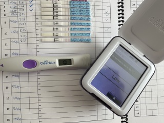 TTC after chemical pregnancy