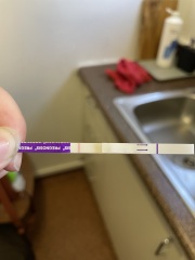 Am I just seeing things or am I pregnant ? Potential positive test