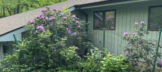 Come and tell me your dull and unexciting news 29: Calmly through the day