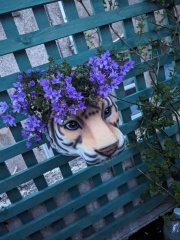 Quirky Garden Decor