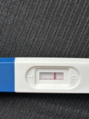 3dpo