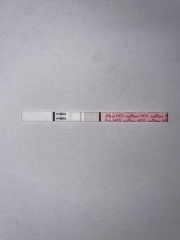 A line eye enthusiast #2