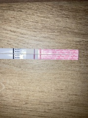 7dpo and keeping busy!