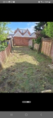 Overgrown garden