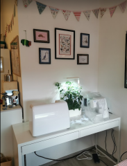 Stitch and bitch thread #9. I have pressing concerns