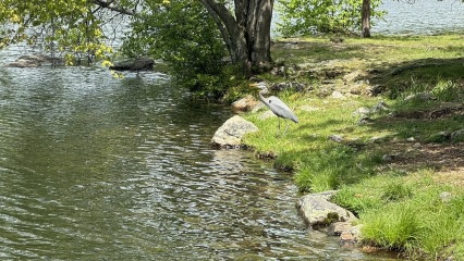 Come and tell me your dull and unexciting news 29: Calmly through the day