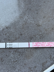 A line eye enthusiast #2