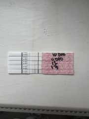 Anyone want to join for two week wait?