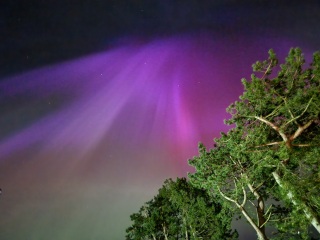 Did you see The Northern Lights (uk) any pictures?