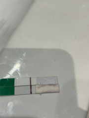 POAS come on you rainbows