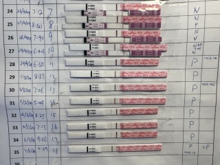 Hcg and progression