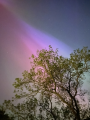 Did you see The Northern Lights (uk) any pictures?