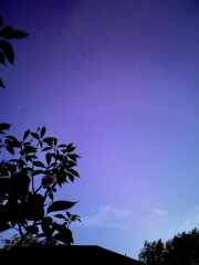 Anyone watching for Northern Lights tonight?