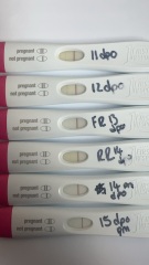 Chemical pregnancy or ectopic?