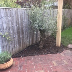 Who is happy with their Patio?