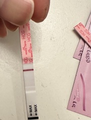 Help a tired line eyes gal out! Evaps or dodgy tests?