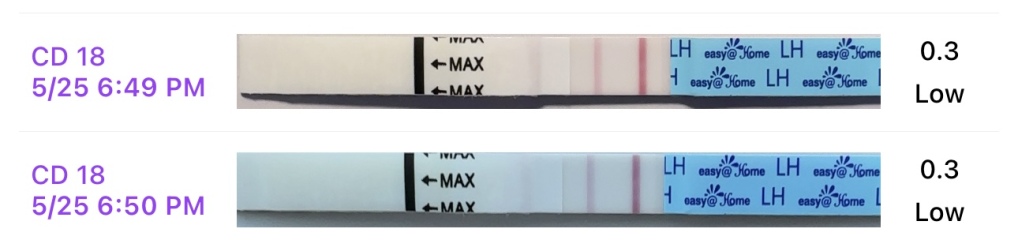 TTC after chemical pregnancy