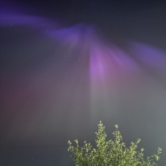Anyone staying up to try and glimpse the Aurora Borealis?