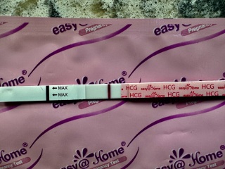 Anyone want to join for two week wait?