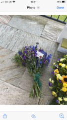 Flowers- what I ordered vs what I got.