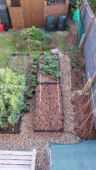 The Vegetable Patch 2024/2025