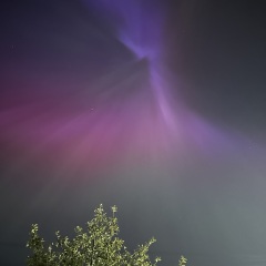 Anyone staying up to try and glimpse the Aurora Borealis?