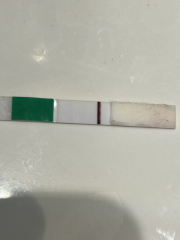 POAS come on you rainbows