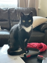 Said goodbye to my boy yesterday
