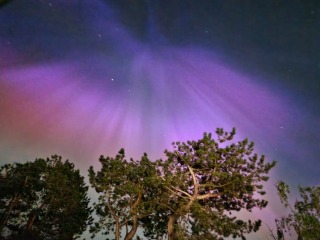 Did you see The Northern Lights (uk) any pictures?