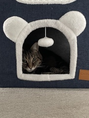 Our new addition!