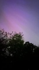 Anyone watching for Northern Lights tonight?