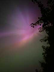 Did you see The Northern Lights (uk) any pictures?