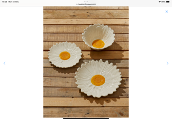Pretty or elegant serving bowls