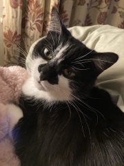 Stroppy teenager. 13 today!