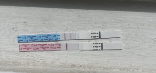 10dpo VVFL and higher LH