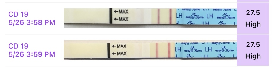 TTC after chemical pregnancy