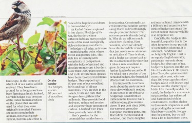 How can I build a bird-friendly, thick hedgerow?
