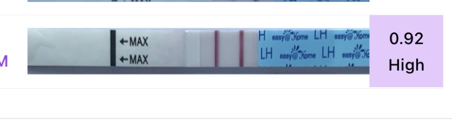 TTC after chemical pregnancy